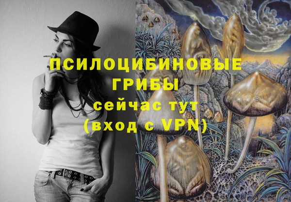 спиды Белокуриха