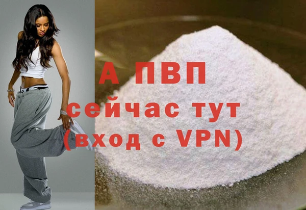 спиды Белокуриха