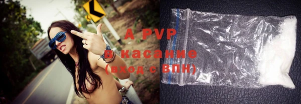 прущие грибы Сясьстрой